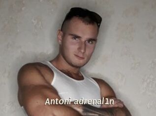 Antoni_adrenal1n