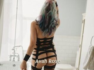 Avah_Rose