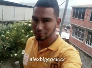 Alexbigcock22