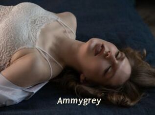 Ammygrey