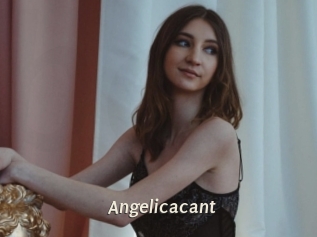 Angelicacant