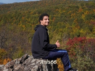 Anis66