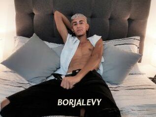 BORJALEVY