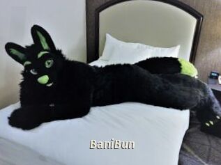 BaniBun