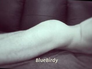 BlueBirdy
