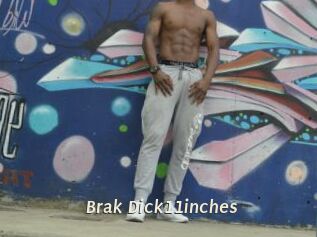 Brak_Dick11inches