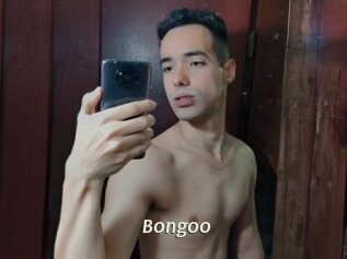 Bongoo