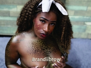 Brandiibrow