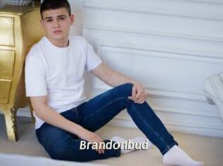 Brandonbud