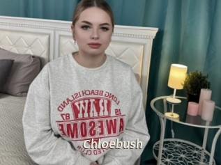 Chloebush