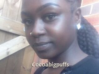 Cocoabigpuffs
