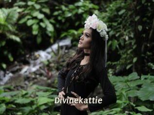 Divinekattie