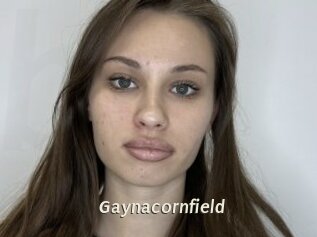 Gaynacornfield