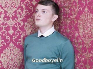 Goodboyelin