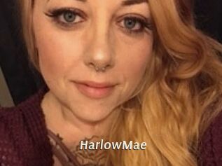 HarlowMae