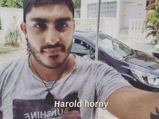 Harold_horny