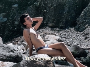 Harrysmenendez
