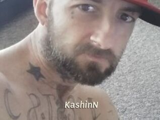 KashinN