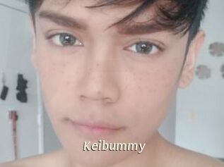 Keibummy
