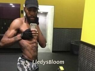 Lledys_Bloom