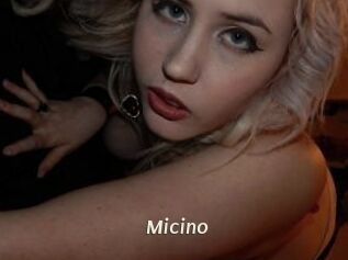 Micino