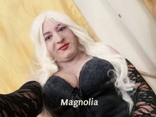 Magnolia