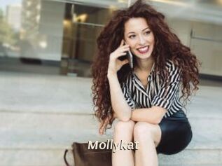 Mollykat