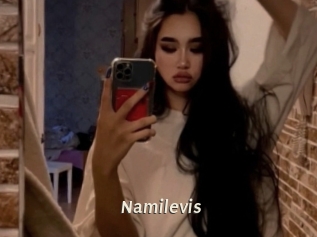 Namilevis