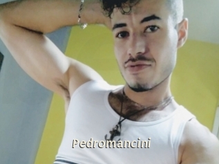 pedromancini Blog éjac