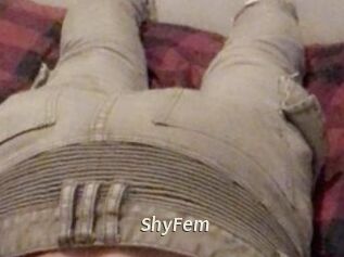 ShyFem