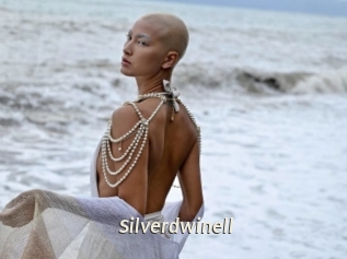 silverdwinell Blog éjac