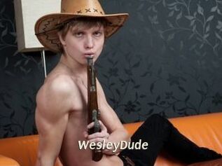 WesleyDude