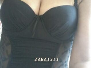 ZARA1313